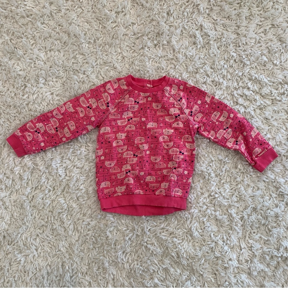 Cat Sweatshirt (3/4)